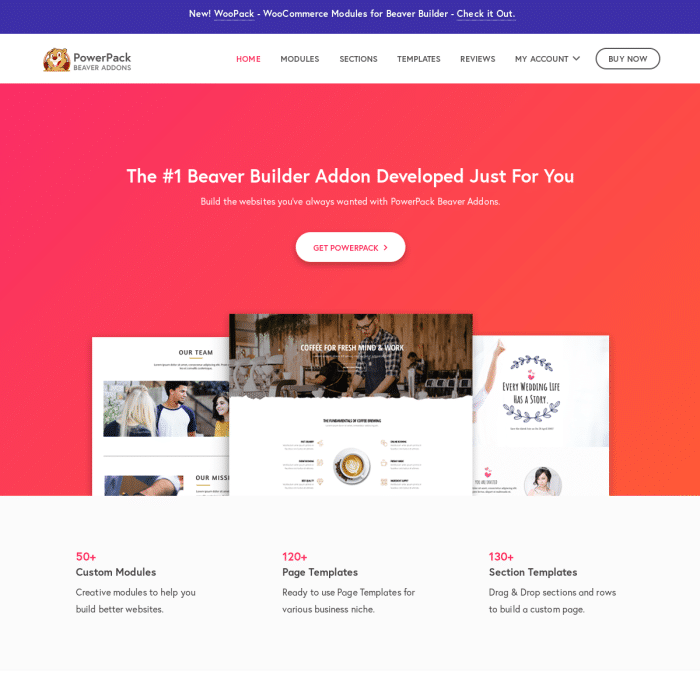 Beaver Builder PowerPack v2.16.2 GPL Vault