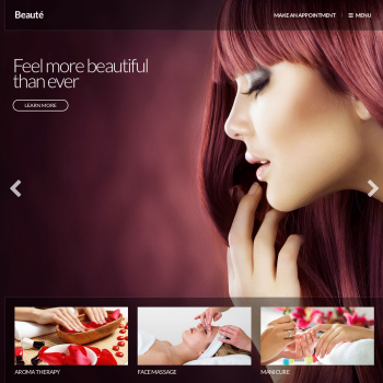 CSS Igniter Beaute Health & Beauty WordPress Theme