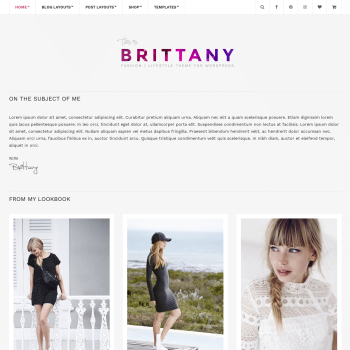 CSS Igniter Brittany blog WordPress Theme