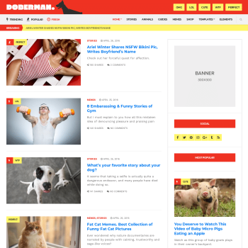 CSS Igniter Doberman Viral Magazine WordPress Theme