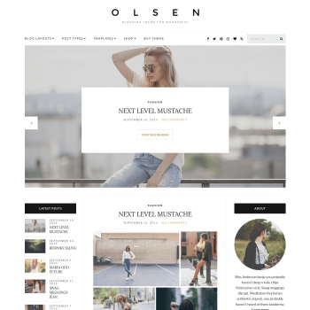 CSS Igniter Olsen Blogging WordPress Theme