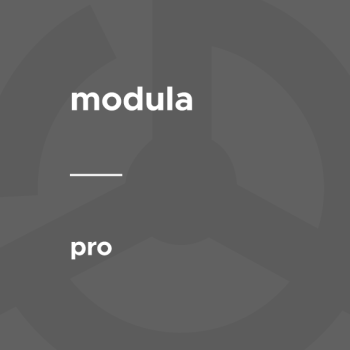 Modula - PRO (Base Plugin)