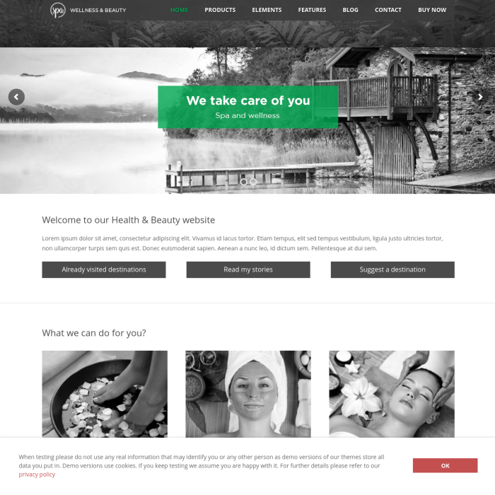 Ait Spa Wordpress Theme V2 0 4 Gpl Vault