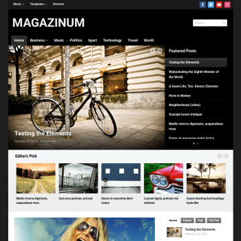 WPZoom Magazinum WordPress Theme